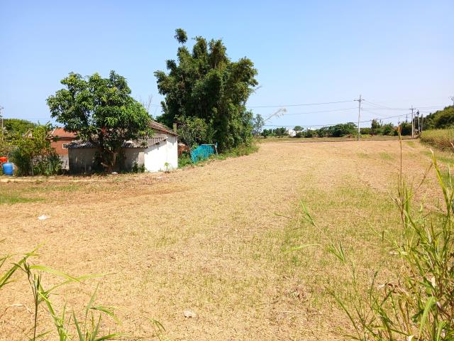 桃園大園農地-0