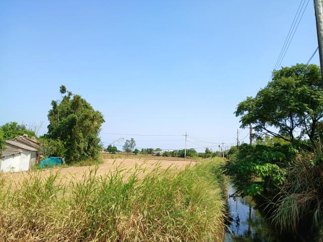 桃園大園農地-2