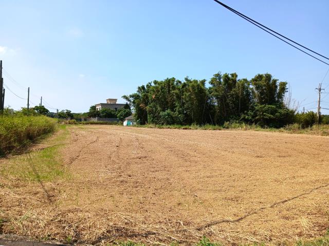 桃園大園農地-3