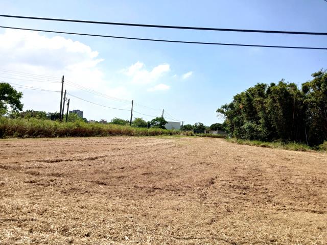 桃園大園農地-4