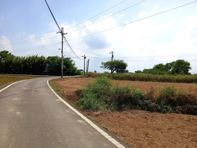 桃園大園農地-5