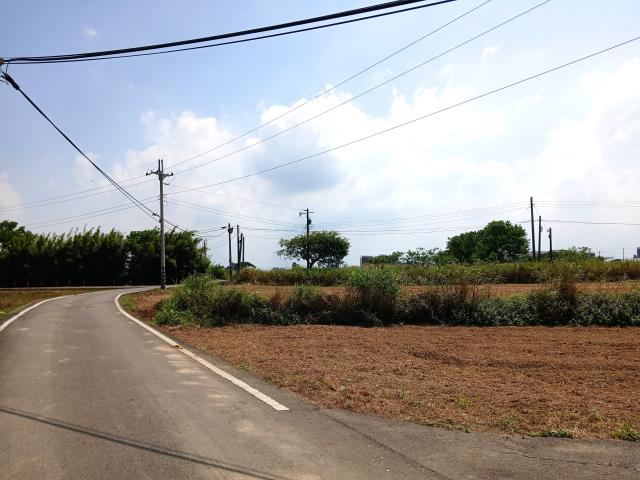 桃園大園農地-6