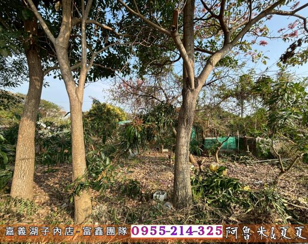 嘉義西區農地-3