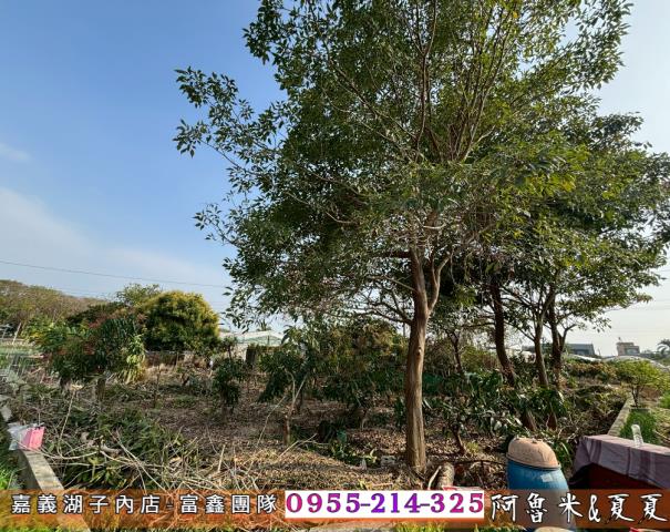 嘉義西區農地-6