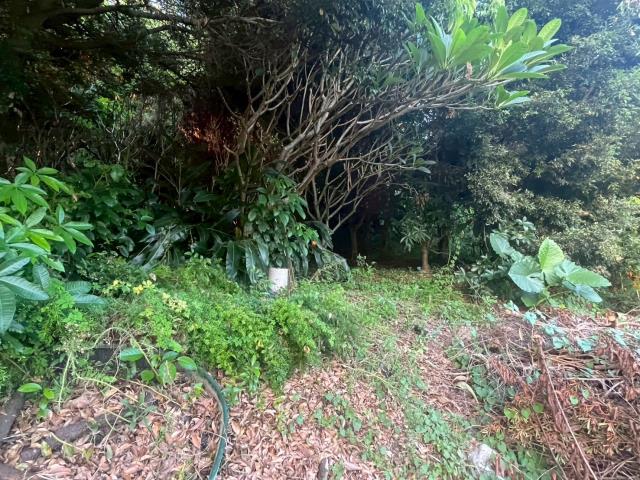 台中北屯農地-0