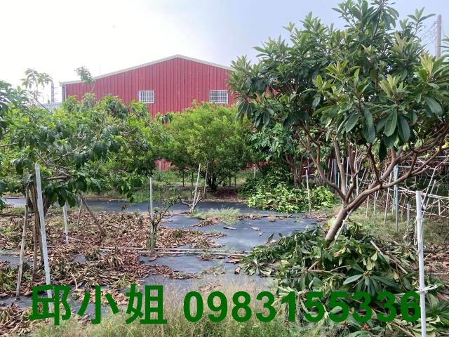 嘉義民雄農地-0