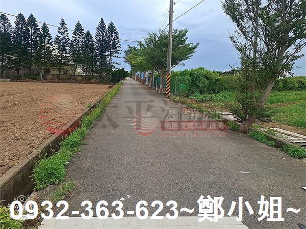 桃園新屋農地-4