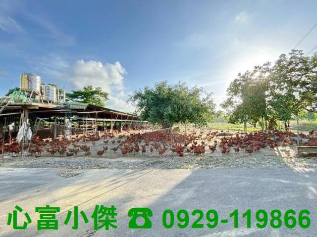 高雄田寮農地-0