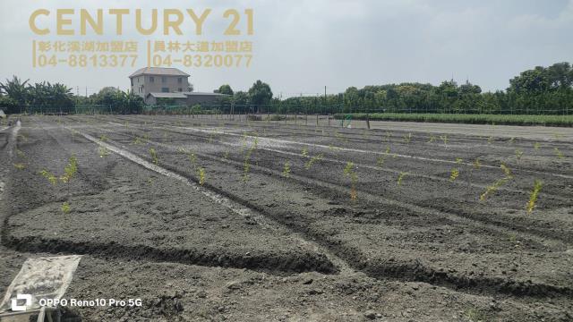 彰化田尾農地-2