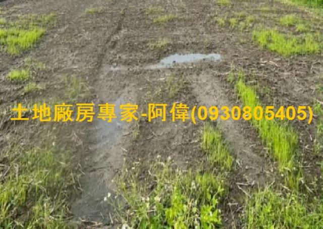 高雄大寮農地-0