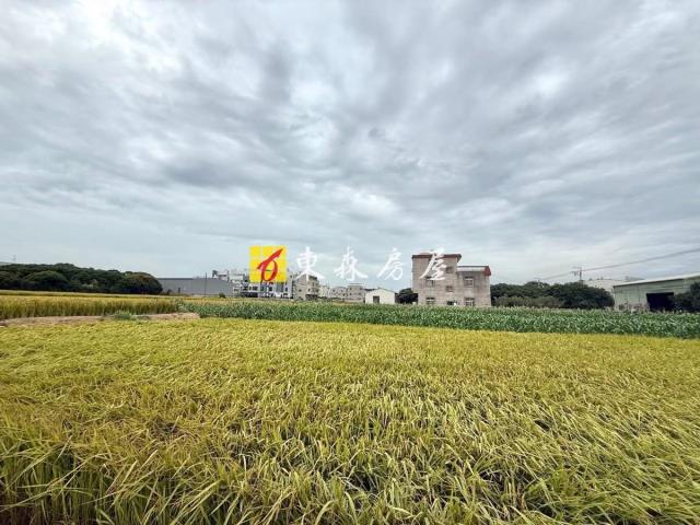 台中大雅農地-0