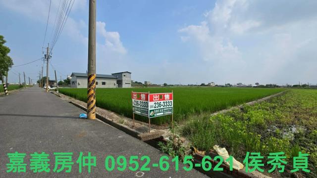 嘉義新港農地-1