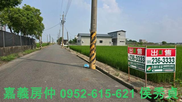 嘉義新港農地-3