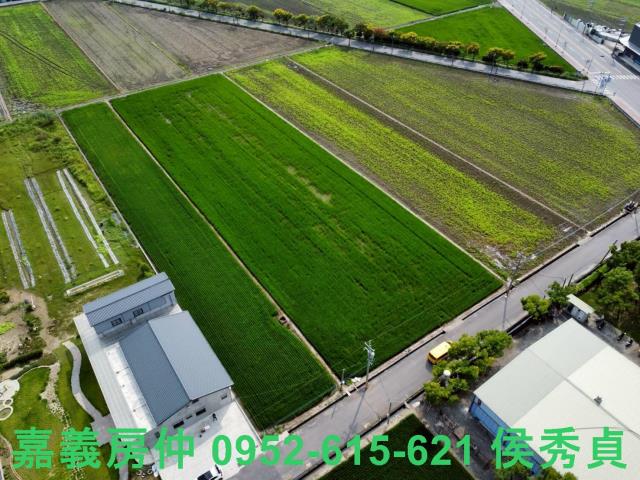 嘉義新港農地-0