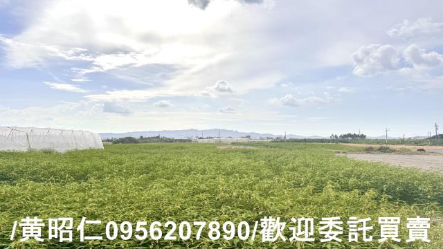高雄農地-4