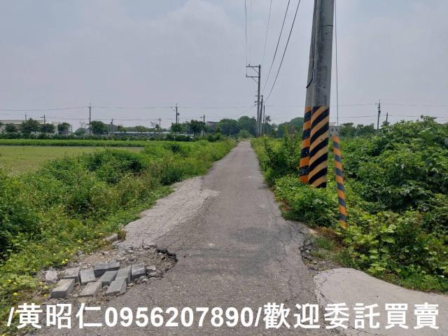 台南七股農地-1