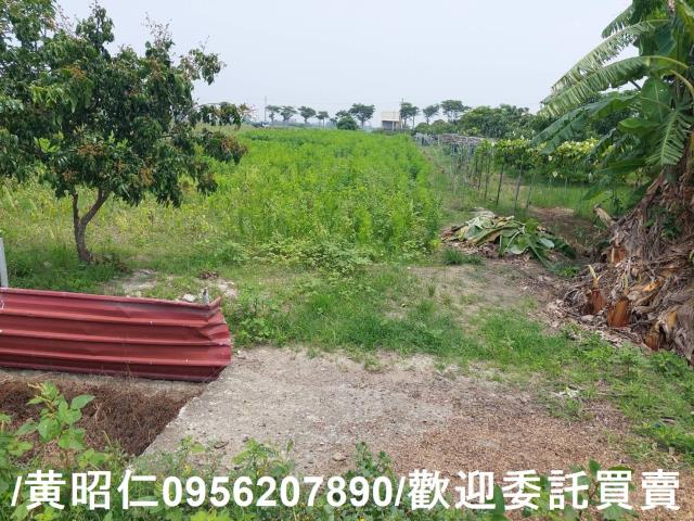 台南七股農地-3