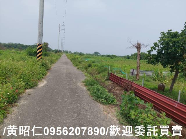 台南七股農地-4