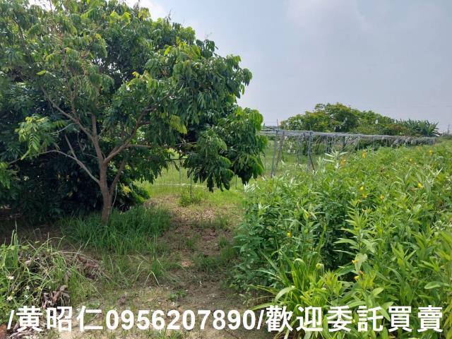 台南七股農地-8