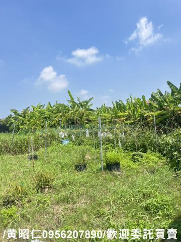 台南將軍農地-10