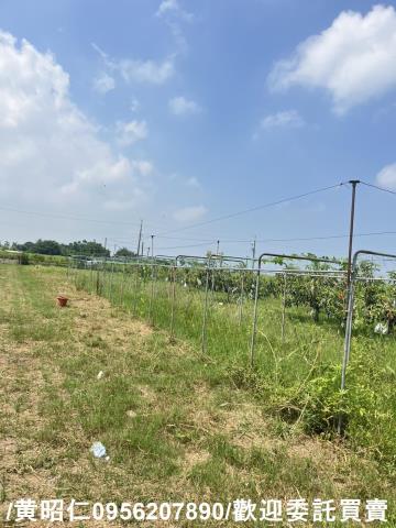 台南將軍農地-7