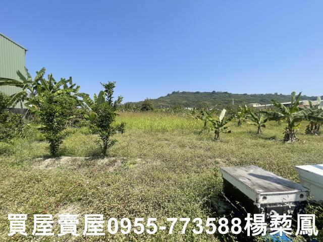 高雄岡山農地-10
