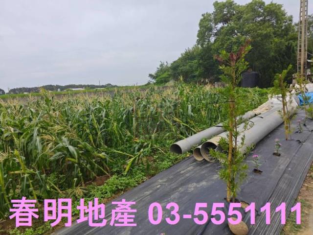 新竹新豐農地-7