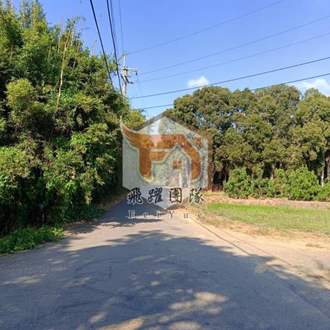 桃園新屋農地-4