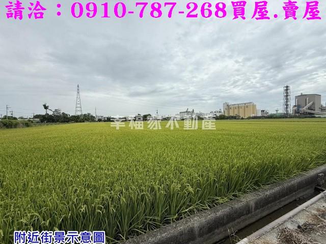 台南農地-3
