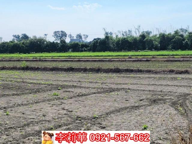台南農地-6
