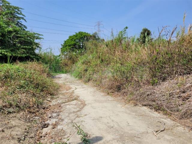 高雄阿蓮農地-9