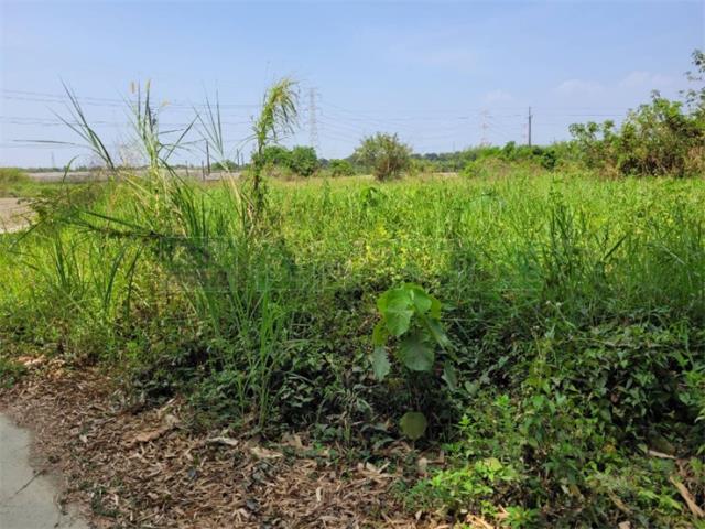 高雄阿蓮農地-11