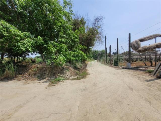 高雄阿蓮農地-13