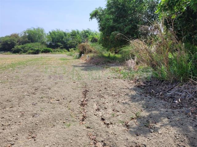 高雄阿蓮農地-1