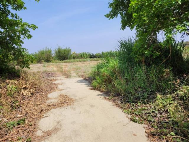 高雄阿蓮農地-3