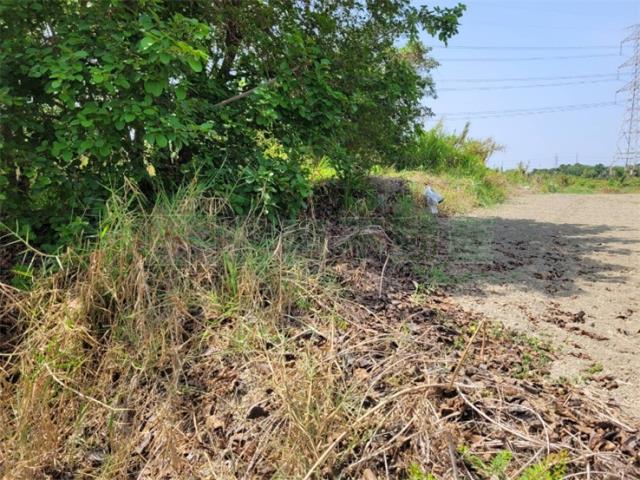 高雄阿蓮農地-6