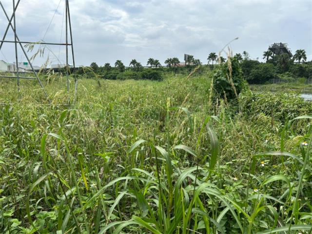 屏東九如農地-1