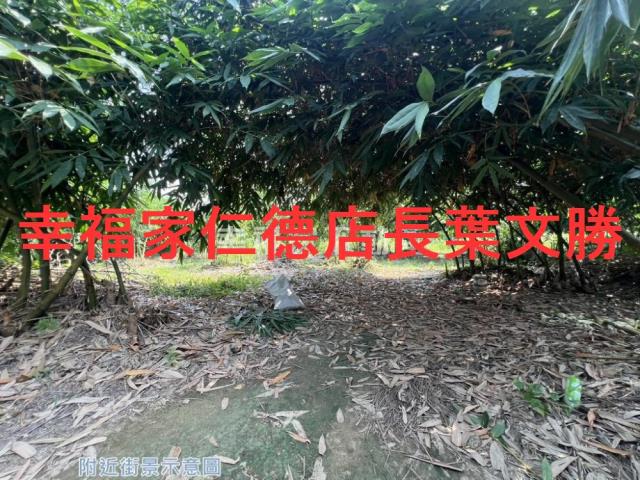 台南白河農地-2