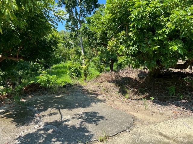 台南南化農地-10