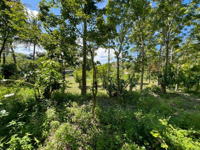 台南南化農地-4