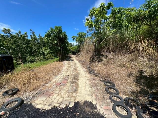 台南南化農地-6