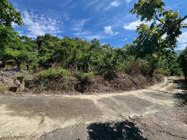 台南南化農地-7