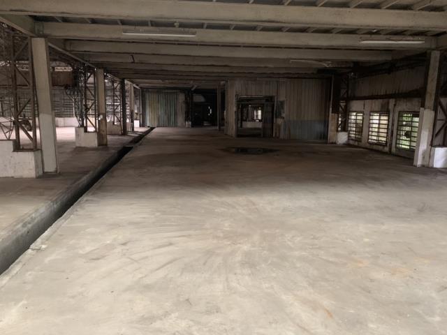 桃園平鎮工業地-1