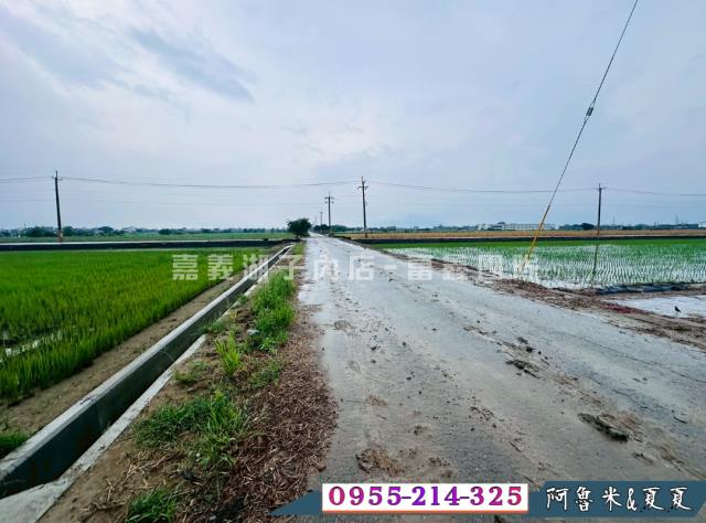 嘉義鹿草農地-2