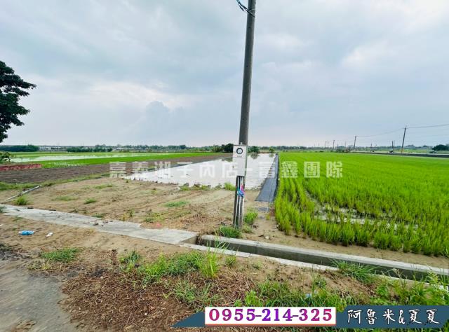 嘉義鹿草農地-3