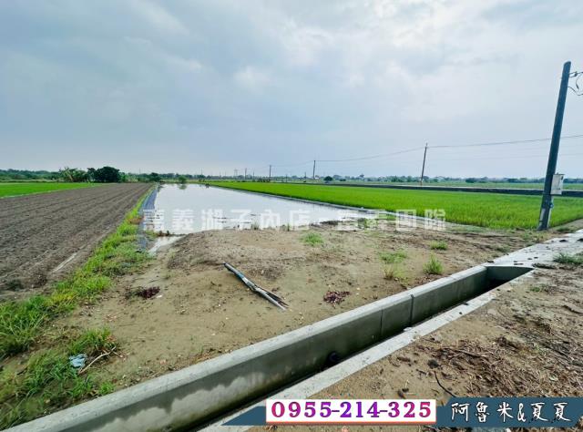 嘉義鹿草農地-6