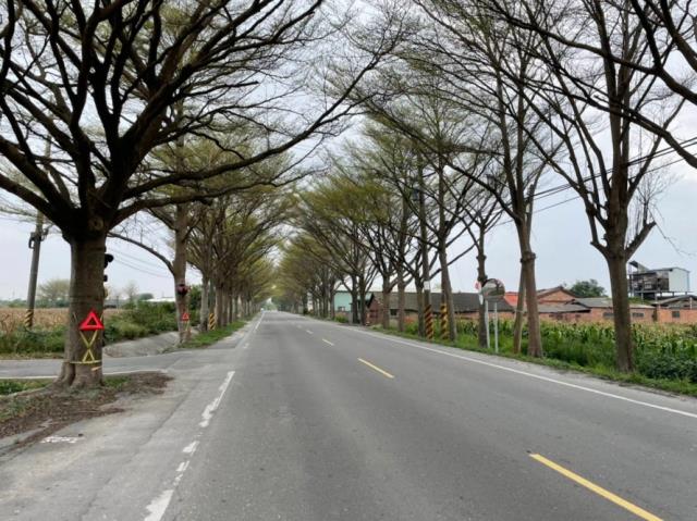 台南學甲農地-9