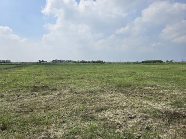 台南學甲農地-3