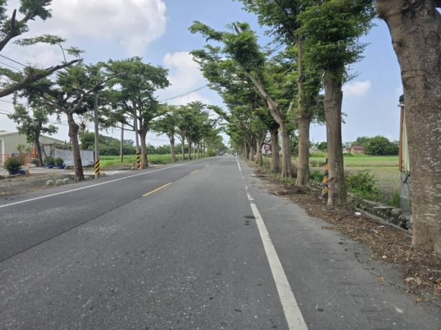 台南學甲農地-6