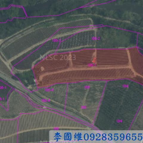 民雄農地法拍-2